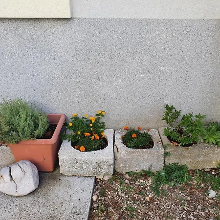 Ivana Apartmán
