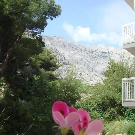 Ivana Apartmán *