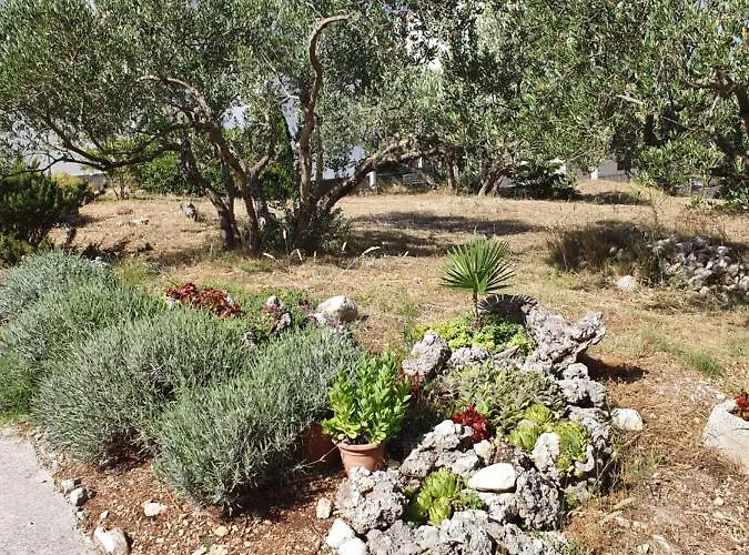 Ivana Appartamento *