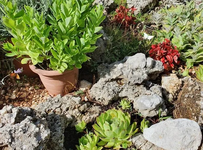 Appartamento Ivana *